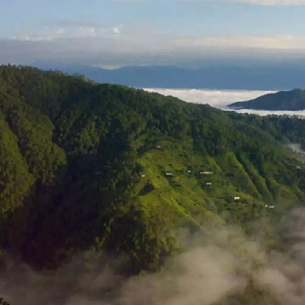 Binsar