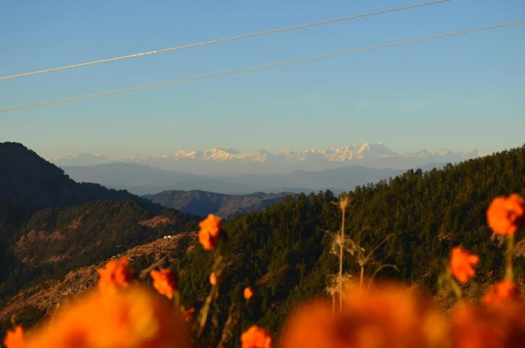 Kilbury Boutique Cottages