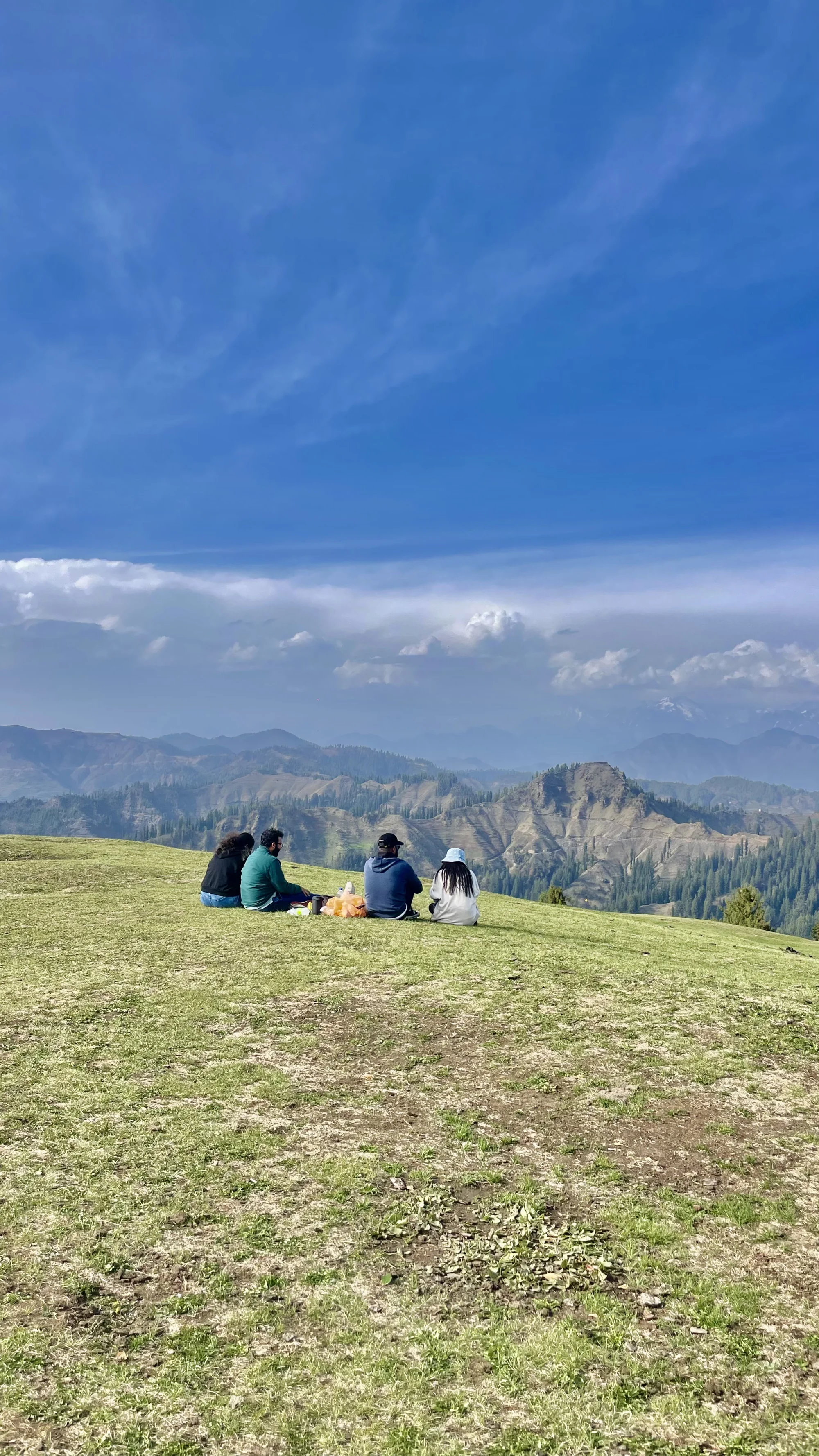 Orchard Home in the Clouds
