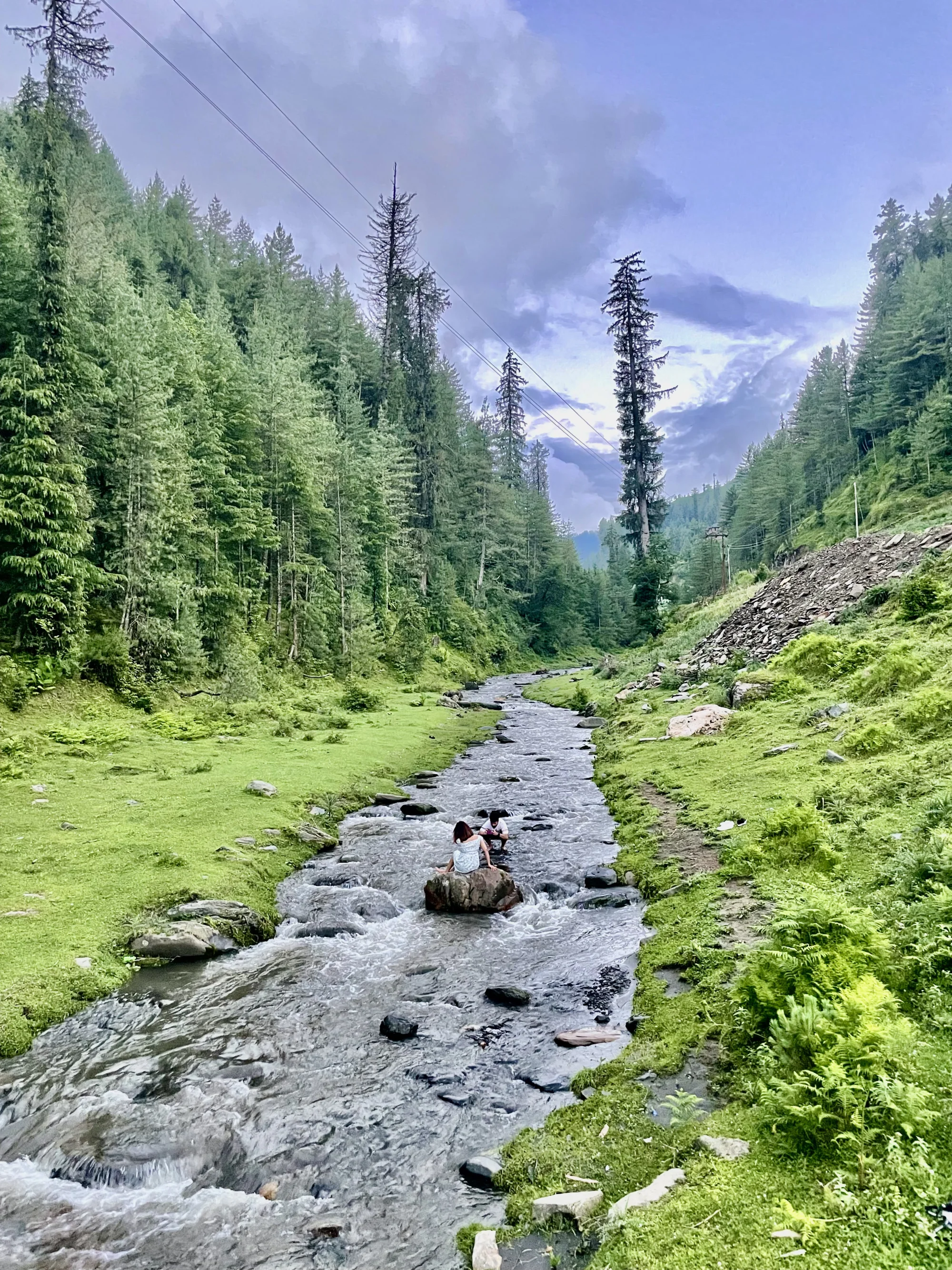 Orchard Home in the Clouds