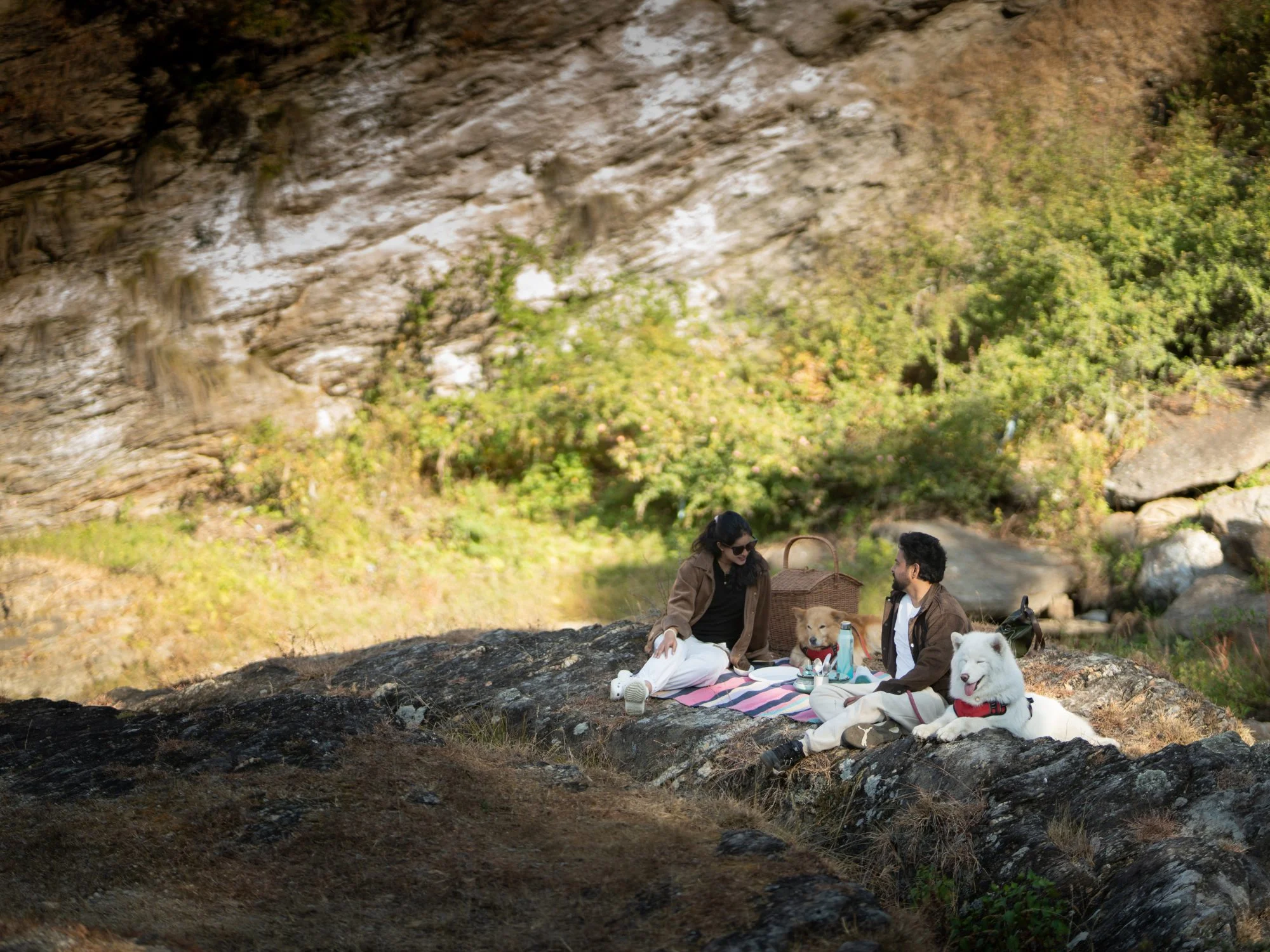 Eco Glamping in the forest
