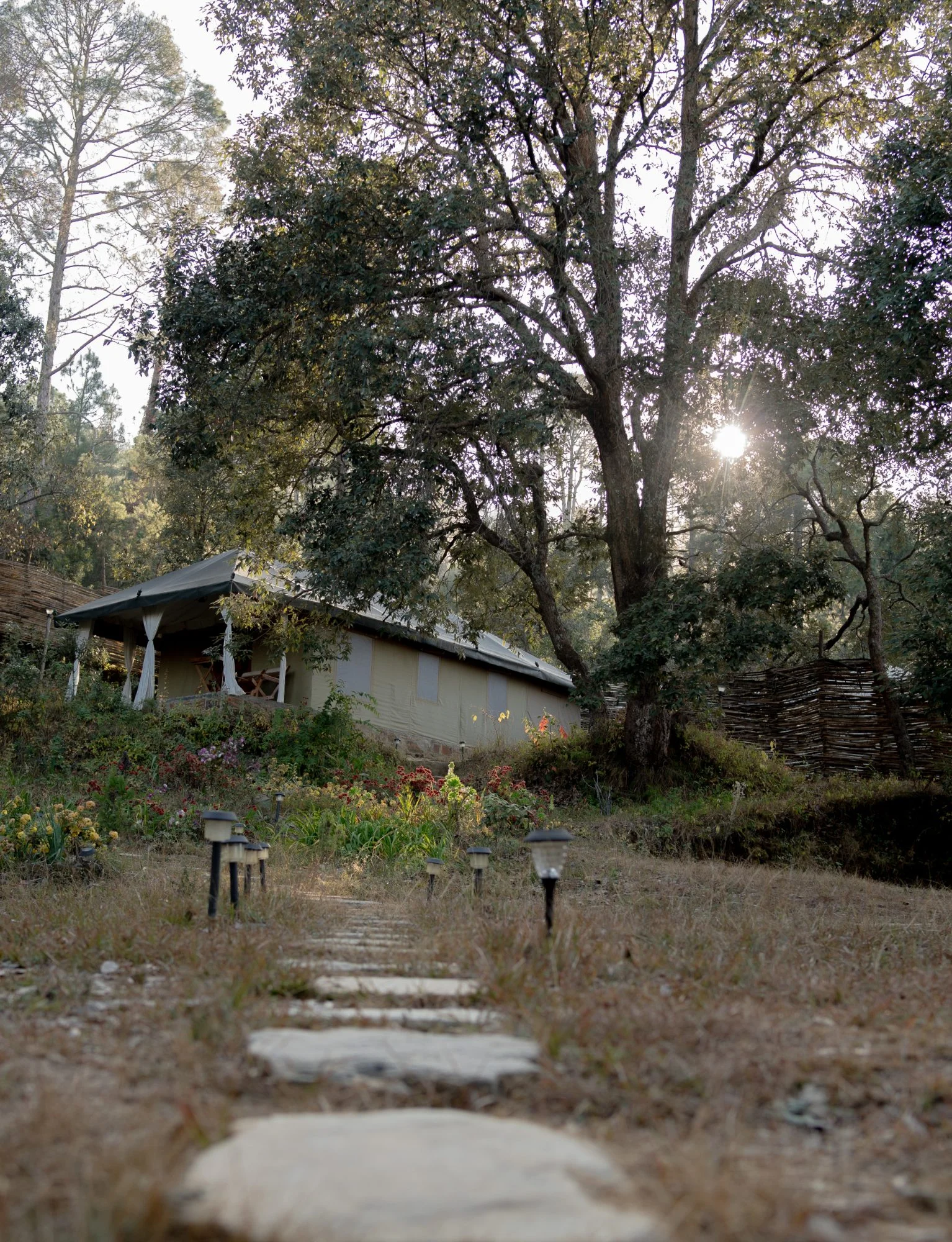 Eco Glamping in the forest