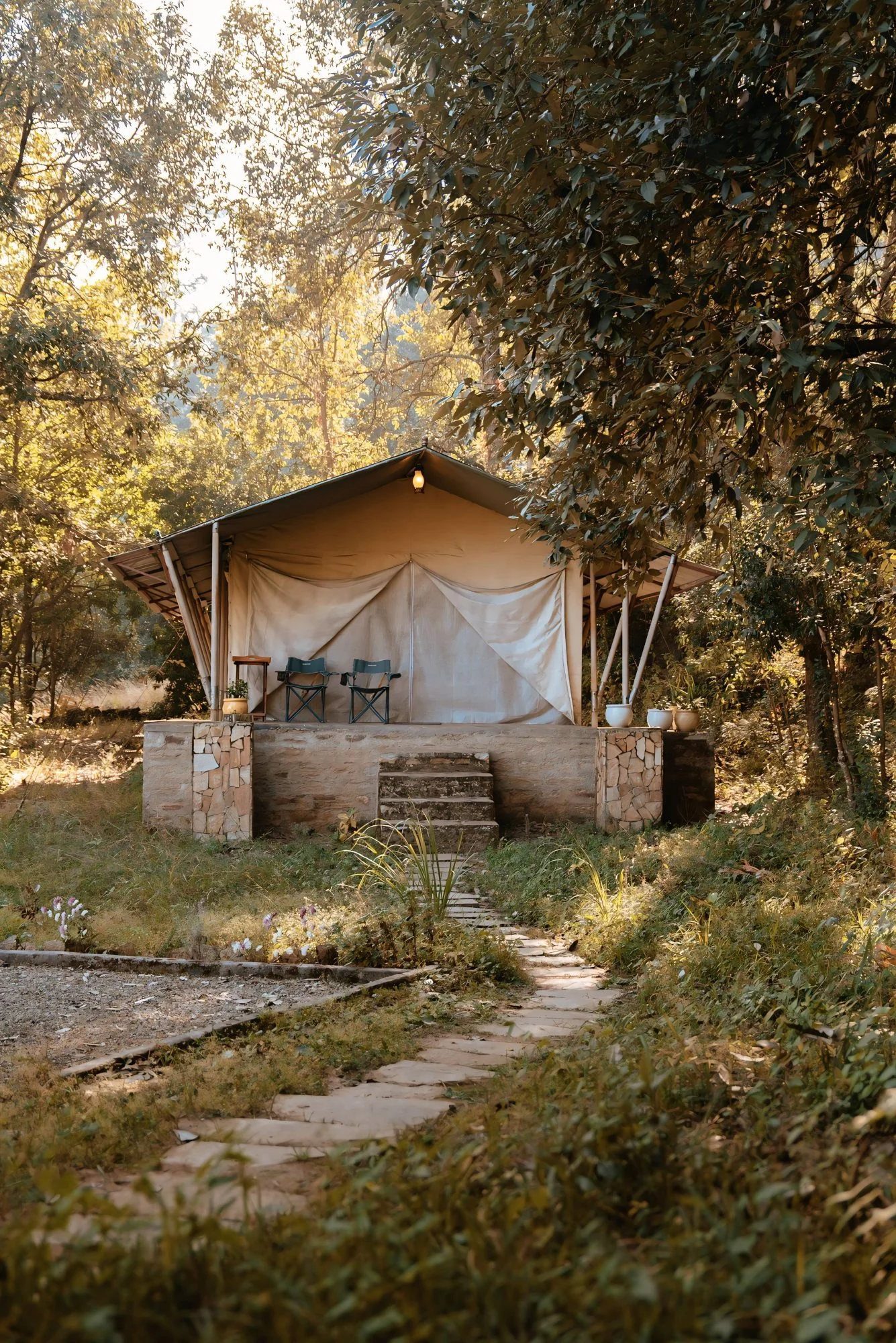Eco Glamping in the forest
