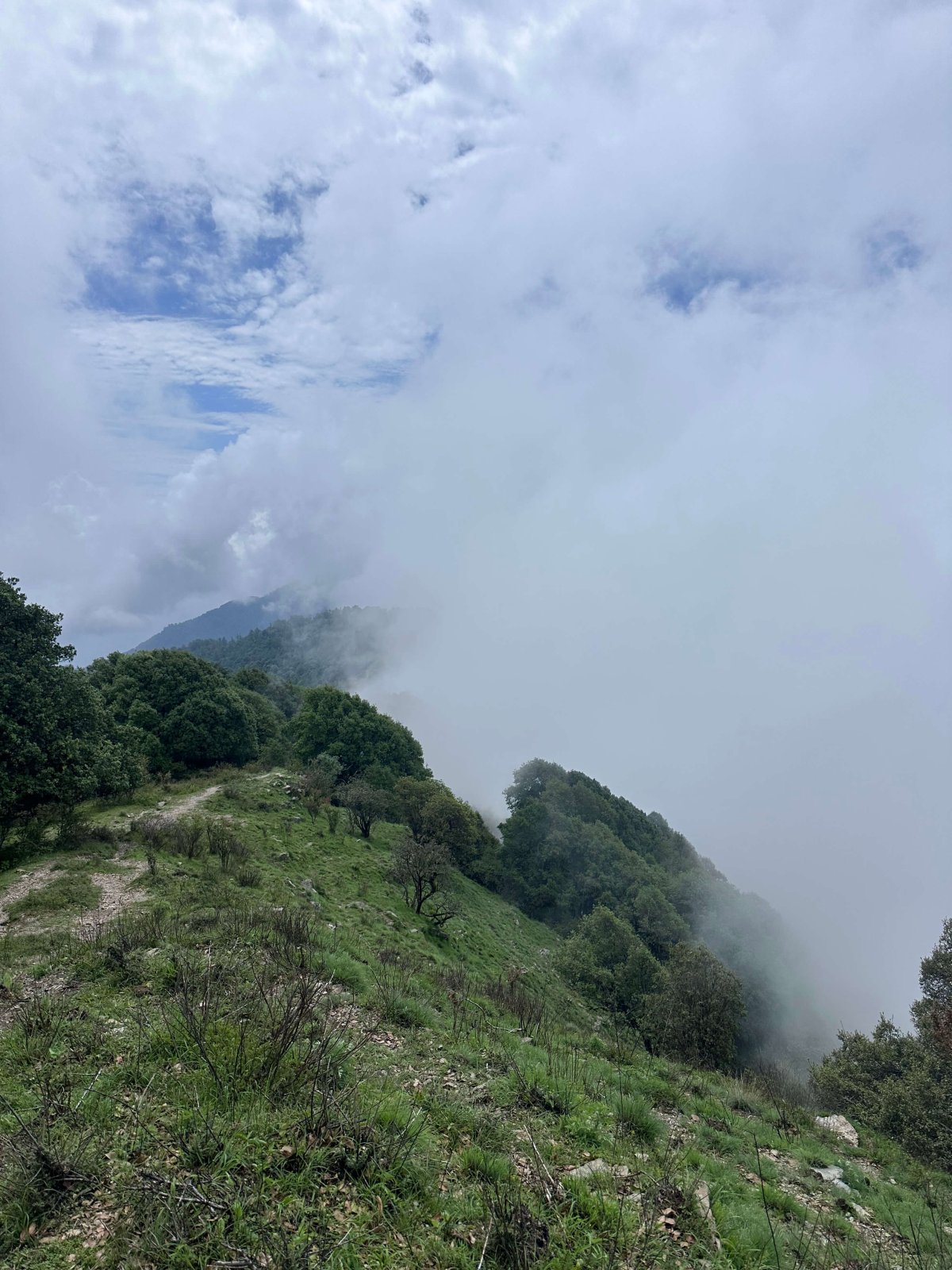 Mountain Trail Excursion